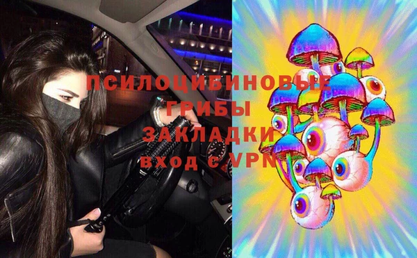 бутират Нязепетровск
