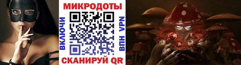 дарнет шоп Екатеринбург Псилоцибиновые грибы MAGIC MUSHROOMS